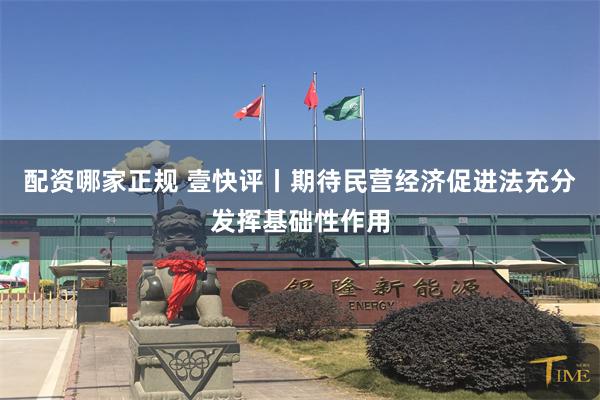 配资哪家正规 壹快评丨期待民营经济促进法充分发挥基础性作用