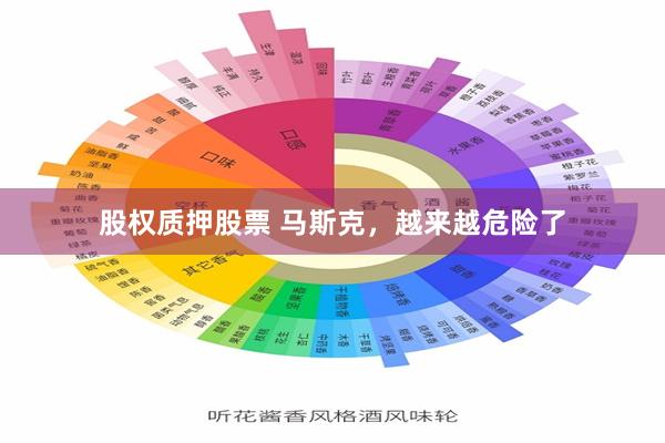 股权质押股票 马斯克，越来越危险了