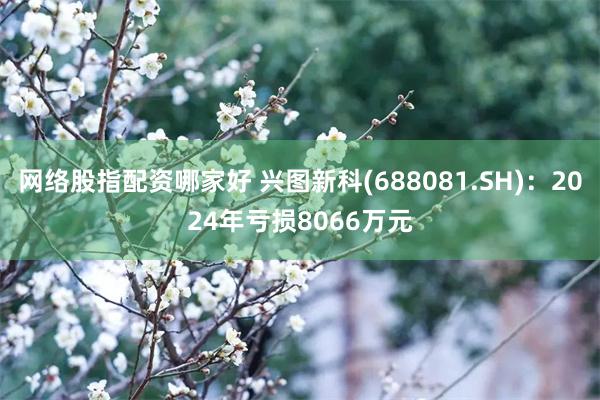 网络股指配资哪家好 兴图新科(688081.SH)：2024年亏损8066万元