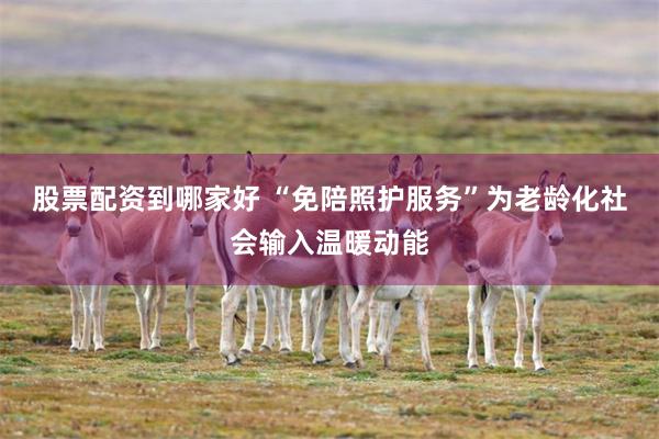 股票配资到哪家好 “免陪照护服务”为老龄化社会输入温暖动能