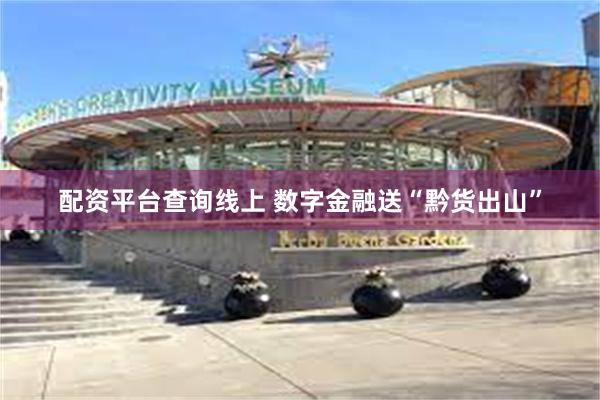 配资平台查询线上 数字金融送“黔货出山”