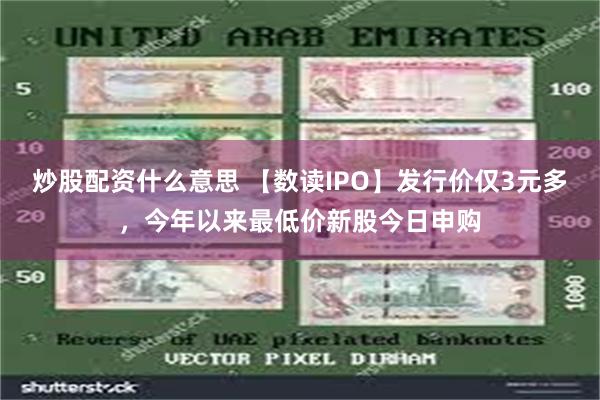 炒股配资什么意思 【数读IPO】发行价仅3元多，今年以来最低价新股今日申购