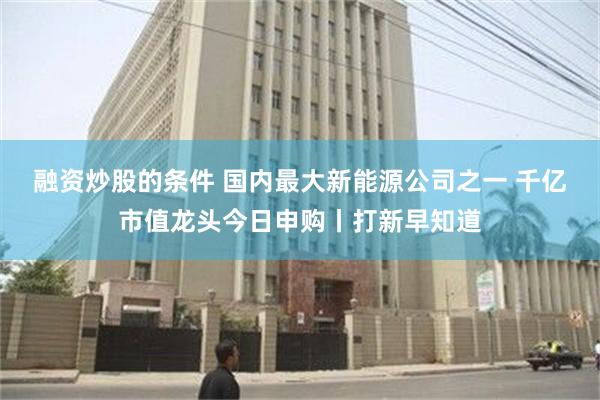 融资炒股的条件 国内最大新能源公司之一 千亿市值龙头今日申购丨打新早知道