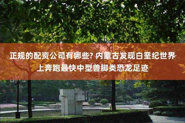 正规的配资公司有哪些? 内蒙古发现白垩纪世界上奔跑最快中型兽脚类恐龙足迹