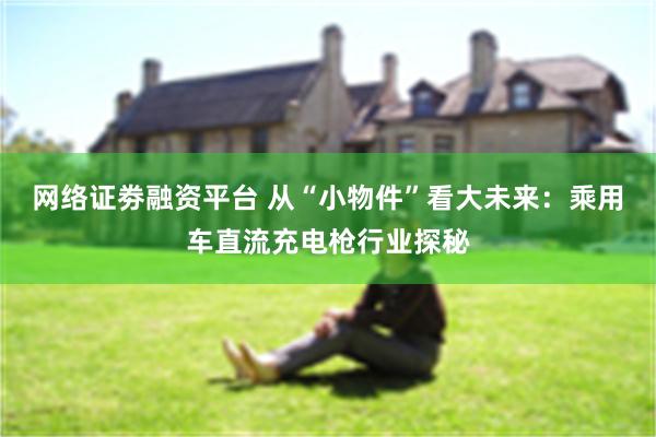 网络证劵融资平台 从“小物件”看大未来：乘用车直流充电枪行业探秘