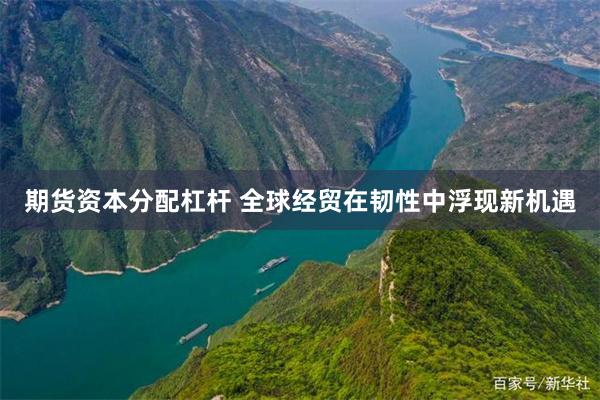 期货资本分配杠杆 全球经贸在韧性中浮现新机遇