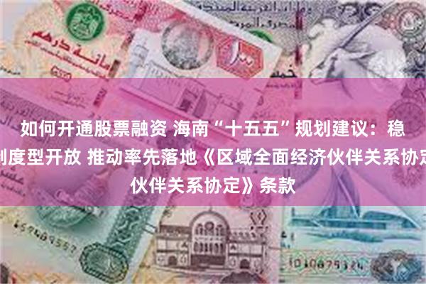 如何开通股票融资 海南“十五五”规划建议：稳步扩大制度型开放 推动率先落地《区域全面经济伙伴关系协定》条款